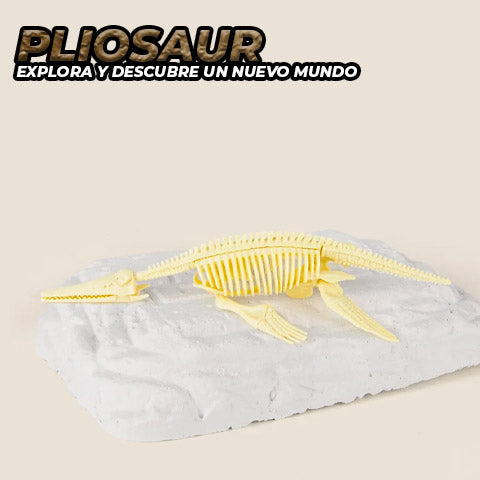 Fósil De Dinosaurio Kit De Paleontología