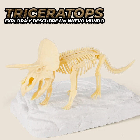 Fósil De Dinosaurio Kit De Paleontología