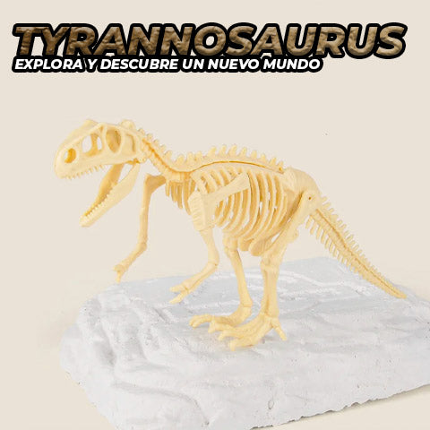 Fósil De Dinosaurio Kit De Paleontología