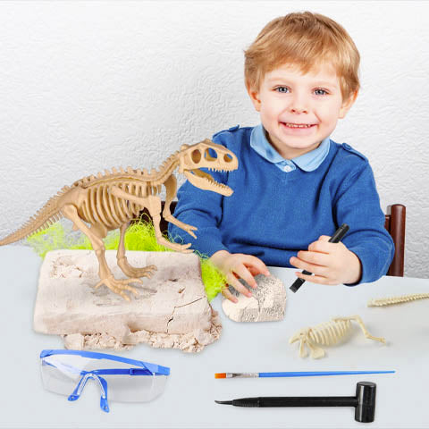 Fósil De Dinosaurio Kit De Paleontología