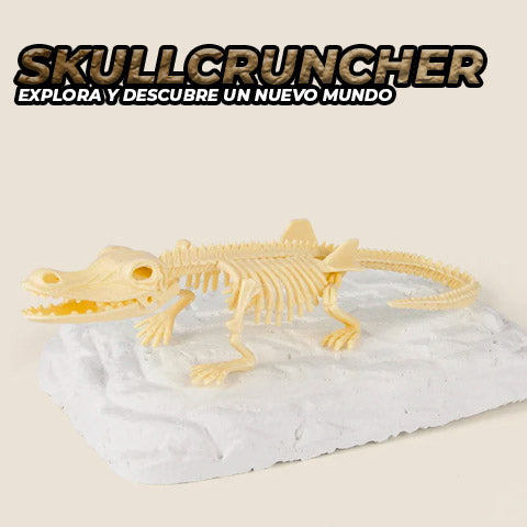 Fósil De Dinosaurio Kit De Paleontología