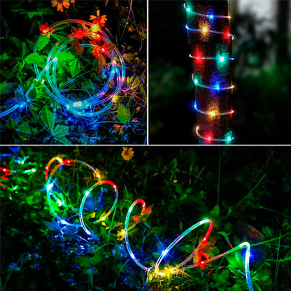 Manguera Luz Led Multicolor Y Luz Fría De 10 Metros