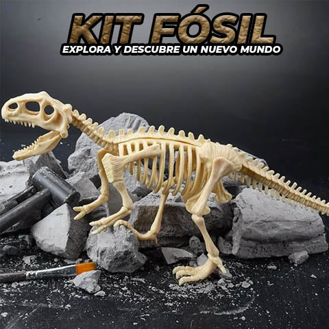 Fósil De Dinosaurio Kit De Paleontología