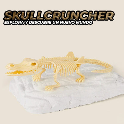 Fósil De Dinosaurio Kit De Paleontología