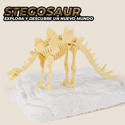 Fósil De Dinosaurio Kit De Paleontología